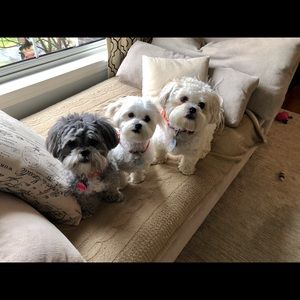 Meet your Posher, Jennifer